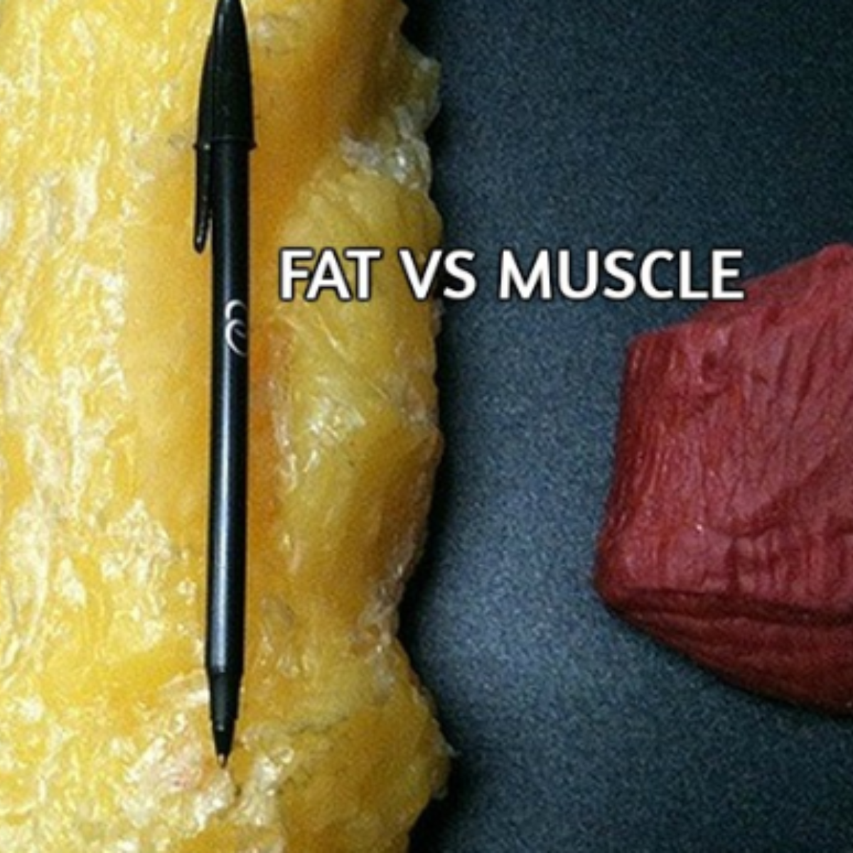 Fat Loss Elemental Fitness Leeds Personal Training