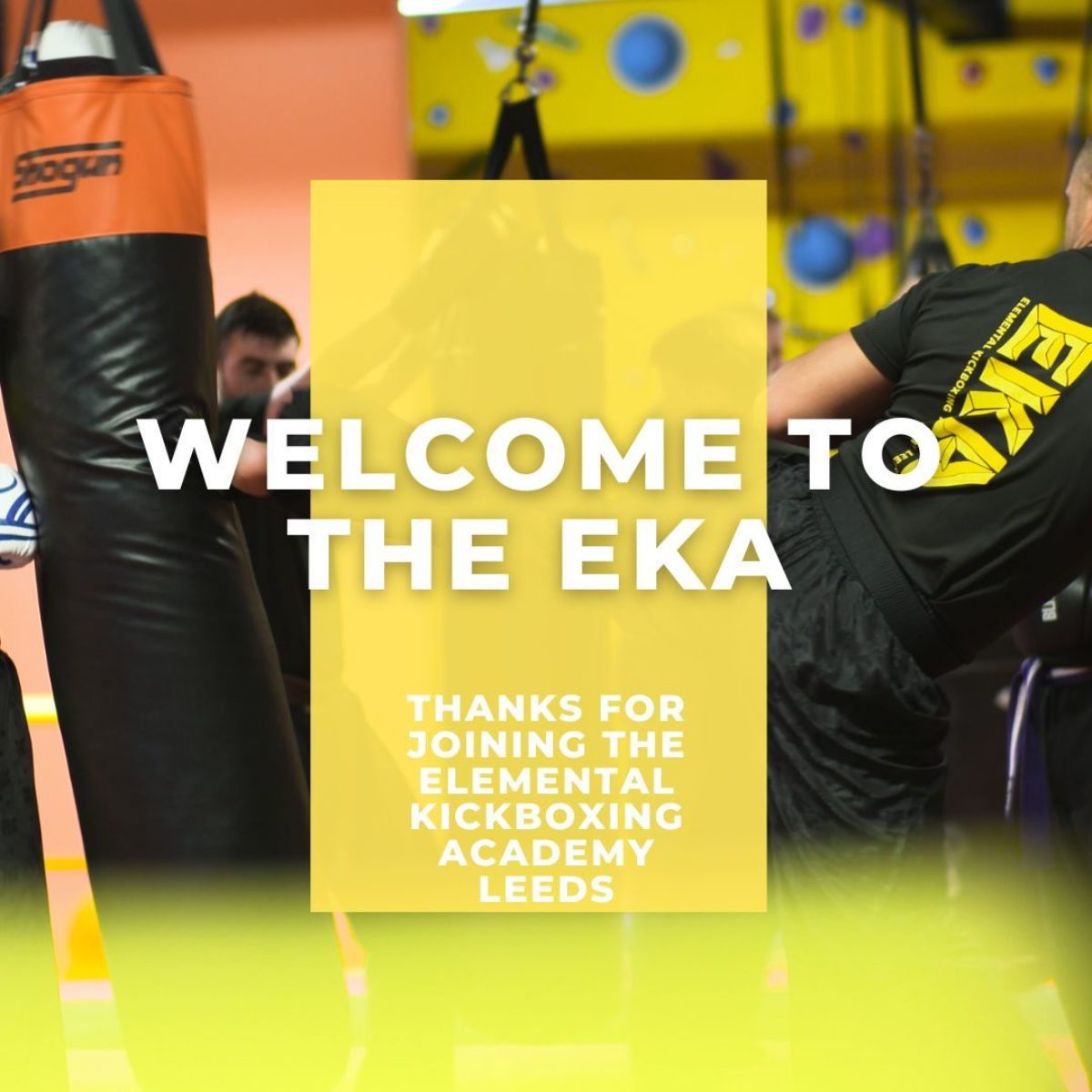 Elemental Kickboxing Academy